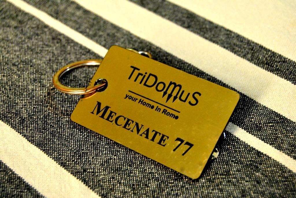 Tridomus Apartment - Mecenate 77 Рим Екстериор снимка